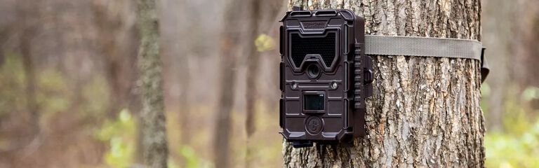 wireless trophy cam