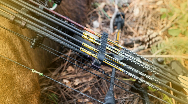 Pierce LRT Hunting Arrows on an Elk