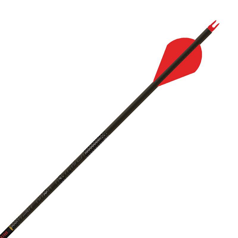 Black Label Quantum Hunting Arrows