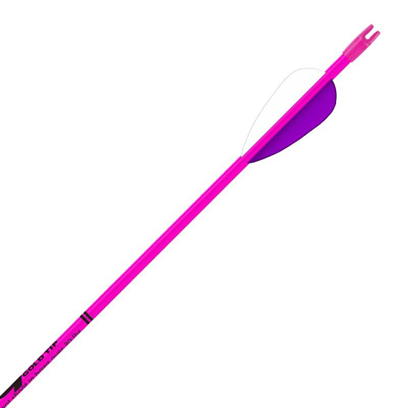 BEAUTY&amp;YOUTH UNITED ARROWS - dral Youth Archery Arrows Set 28