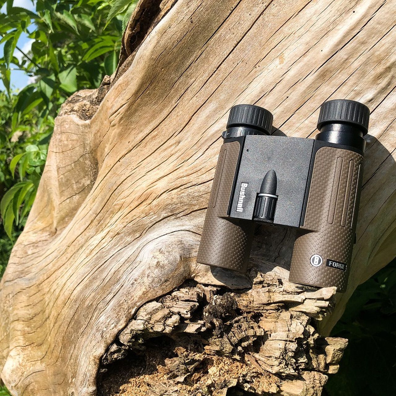 Bushnell FORGE 10×30 BF1030T 10倍 双眼鏡 Buy Forge™ 10x30 Binoculars and More | Bushnell