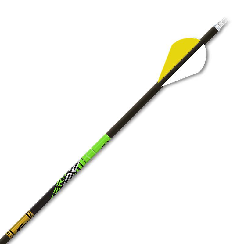 22 Series Plus Target Arrows