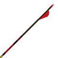 Hunter Hunting Arrows