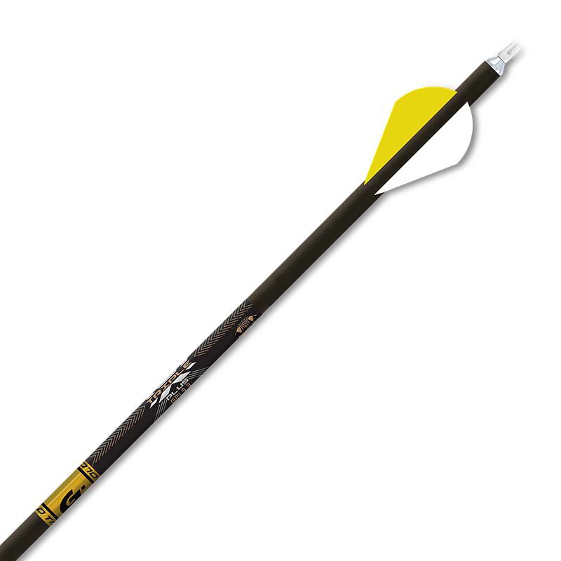Triple X  Plus Target Arrows